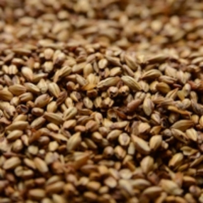 50 lb Briess Caramel 40L - Premium Light Crystal Malt