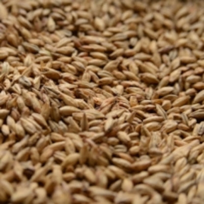 Briess 50 lb Bonlander Munich Malt - Transform Your Brews with Unmatched Quality!