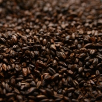 Indulgent 50 lb Briess Chocolate Malt