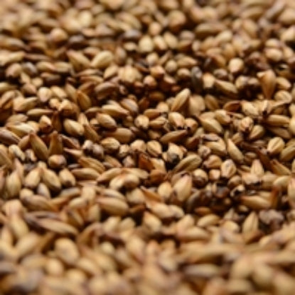 50 lb Briess Caramel 120L - Premium Dark Crystal Malt