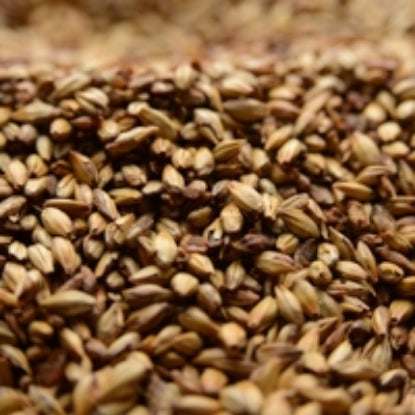 Briess 50 lb Caramel 60L Malt: Transform Your Brew!