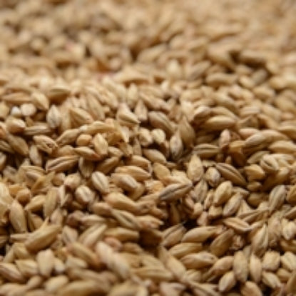 50 lb Briess Premium Pale Ale Malt