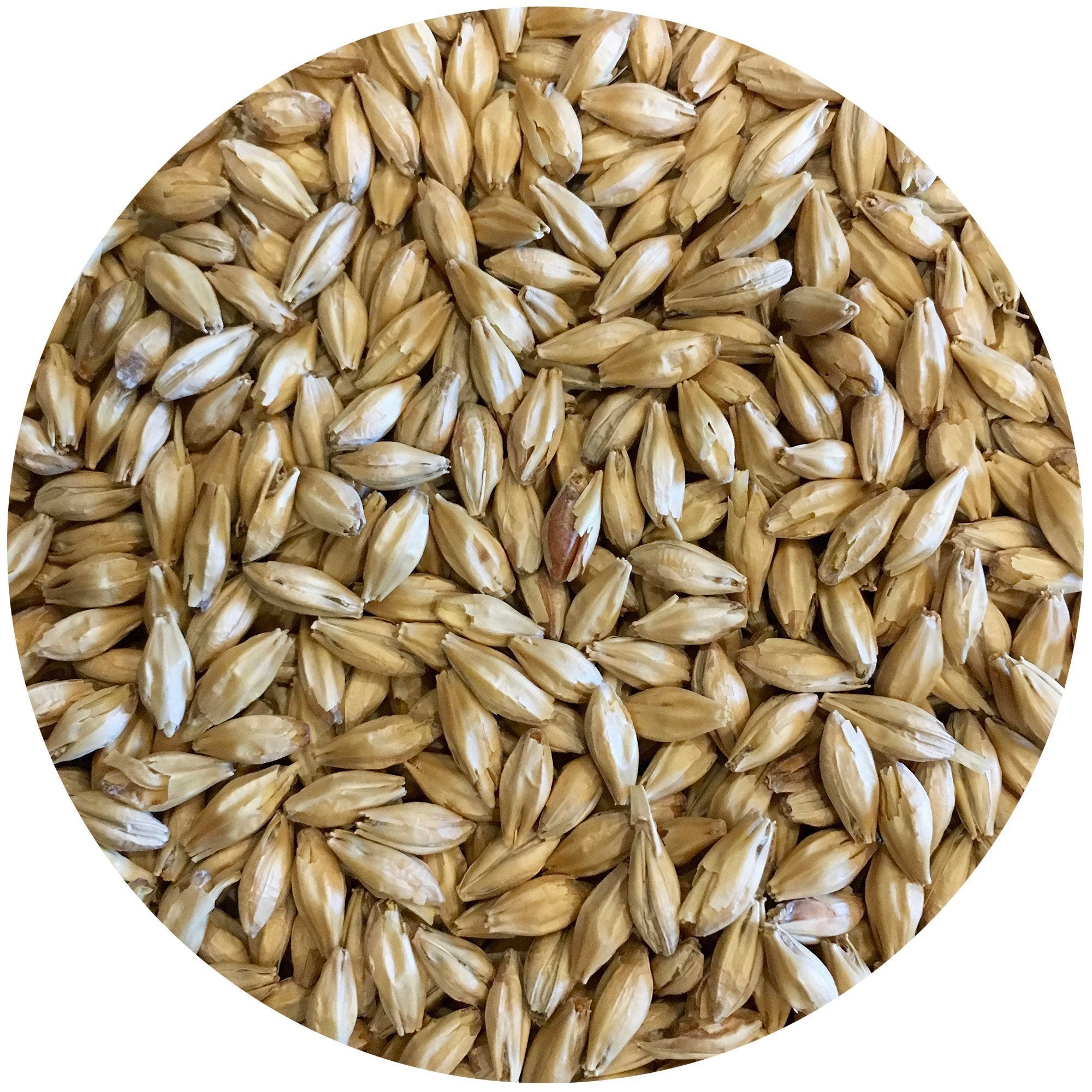 Mecca Grade Lamonta American Pale Malt - A Craft Brewing Gem