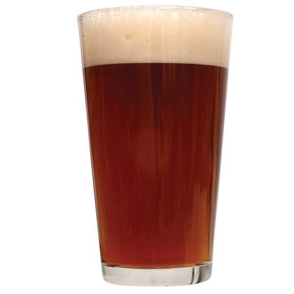 Irresistible Nut Brown Ale 1 Gallon Beer Recipe Kit