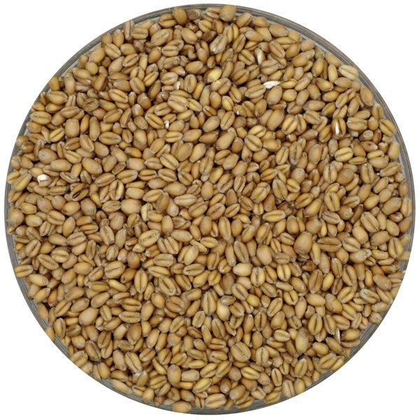 Weyermann German Floor-Malted Bohemian Pale Wheat: 55 lb Bag of Premium Goodness