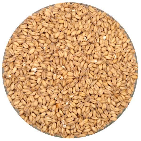 Canada Malting Wheat Malt - 55 lb Bag: A Brewmaster's Secret Weapon!