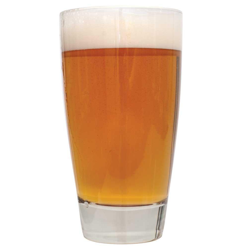 Sierra Madre Pale Ale Extract Beer Recipe Kit - Craft Your Own Sierra Nevada Pale Ale Clone at Home