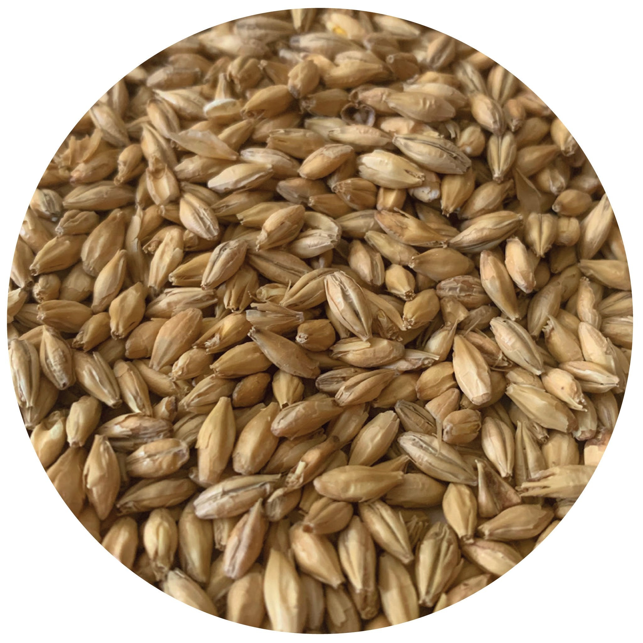 Rahr Malting North Star Pils - 1 lb