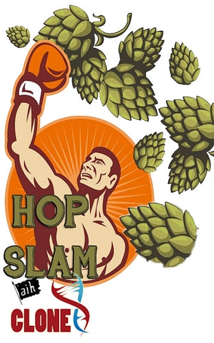 Hopslam Clone Recipe Kit: Craft Your Dream IIPA!