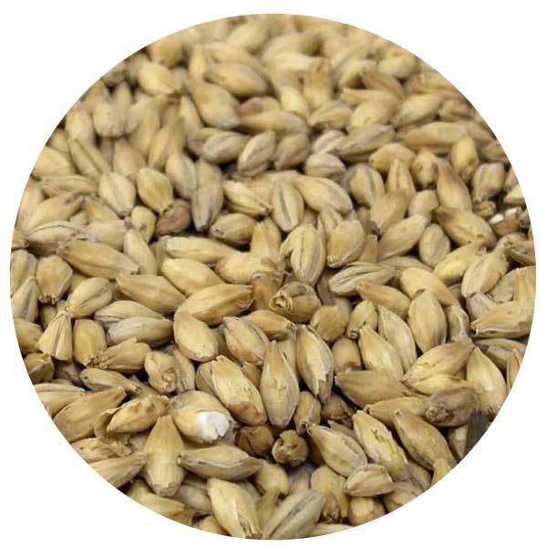 Weyermann German Handcrafted Bohemian Pilsner Malt - A Flavorful Delight