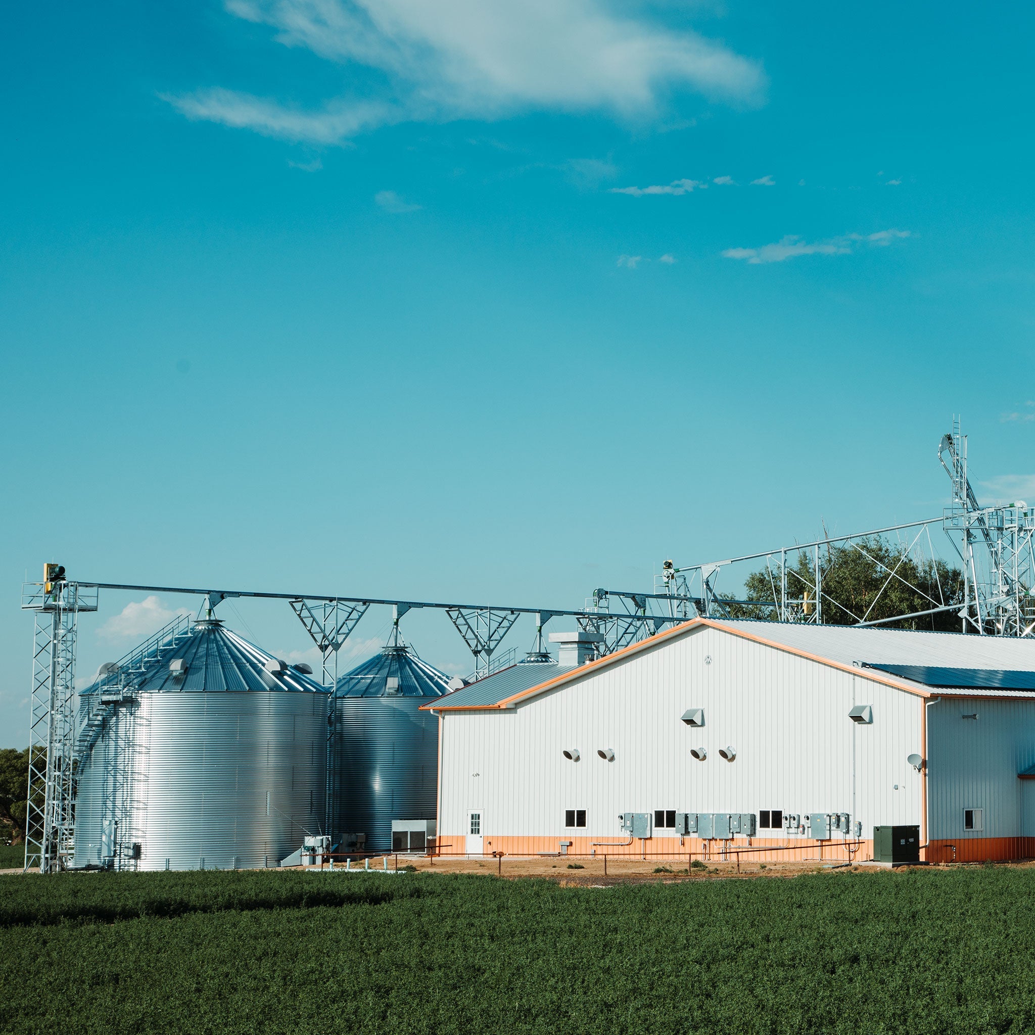 Root Shoot Malting's 50lb Distilling Malt Bag - Perfect for Distillers