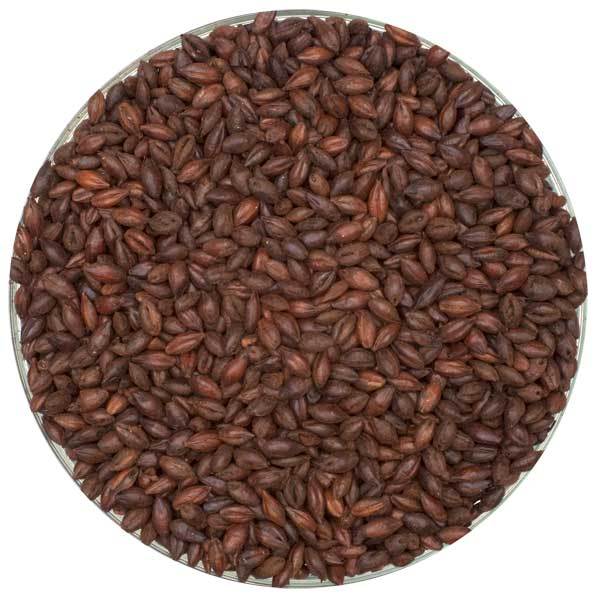 Irresistible Simpsons English Chocolate Malt - 55 lb Bag