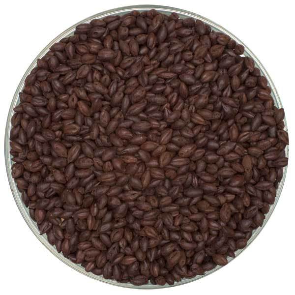 Irresistible Simpsons English Black Malt - 55 lb Bag